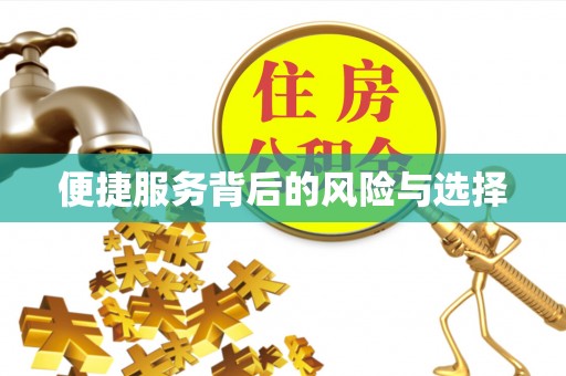 西湖便捷服务背后的风险与选择